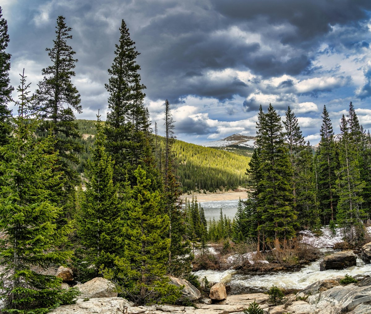 Servicii de mediu profesionale