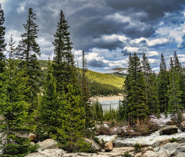 Servicii de mediu profesionale